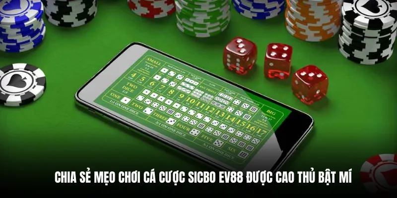 Chia sẻ mẹo chơi cá cược Sicbo EV88 được cao thủ bật mí.